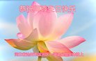 ֹ,ӱ󷨵ӹ編ִʦ𻪵(27)