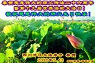 ֹ,Ĵ󷨵ӹ編ִʦ𻪵(22)