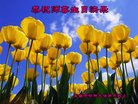 ֹ,󷨵ӹ編ִʦ𻪵(22)