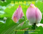 ֹ,ϴ󷨵ӹ編ִʦ𻪵(20)
