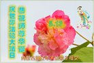 法轮功,内蒙古大法弟子恭贺世界法轮大法日暨师尊华诞(22条)