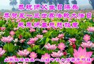 ֹ,ɽ󷨵ӹ編ִʦ𻪵(24)