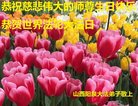 ֹ,ɽ󷨵ӹ編ִʦ𻪵(21)