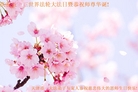 ֹ,󷨵ӹ編ִʦ𻪵(21)