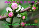 ֹ,󷨵ӹ編ִʦ𻪵(19)