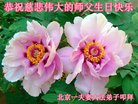 ֹ,󷨵ӹ編ִʦ𻪵(21)