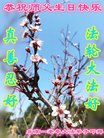 ֹ,󷨵ӹ編ִʦ𻪵(21)