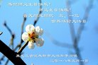 ֹ,ľ˹󷨵ӹ編ִʦ𻪵(19)