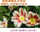 ֹ,󷨵ӹ編ִʦ𻪵(20)