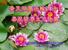 法轮功,潍坊大法弟子恭贺世界法轮大法日暨师尊华诞(21条)