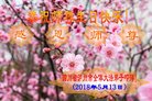 ֹ,Ĵ󷨵ӹ編ִʦ𻪵(21)