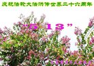 ֹ,󷨵ӹ編ִʦ𻪵(21)