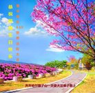 法轮功,齐齐哈尔大法弟子恭贺世界法轮大法日暨师尊华诞(19条)