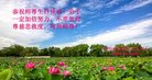 ֹ,ӱ󷨵ӹ編ִʦ𻪵(18)