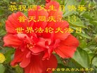 法轮功,广东大法弟子恭贺世界法轮大法日暨师尊华诞(25条)