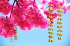 ֹ,󷨵ӹ編ִʦ𻪵(22)