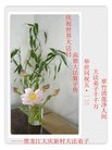 ֹ,󷨵ӹ編ִʦ𻪵(21)