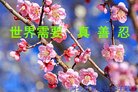ֹ,ӱ󷨵ӹ編ִʦ𻪵(19)