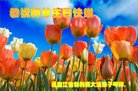 ֹ,󷨵ӹ編ִʦ𻪵(19)