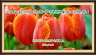 ֹ,ӱ󷨵ӹ編ִʦ𻪵(19)