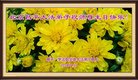 ֹ,󷨵ӹ編ִʦ𻪵(21)
