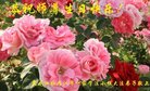 ֹ,󷨵ӹ編ִʦ𻪵(19)