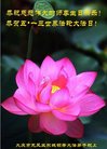 法轮功,大庆大法弟子恭贺世界法轮大法日暨师尊华诞(21条)
