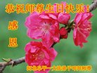 ֹ,ӱ󷨵ӹ編ִʦ𻪵(19)
