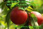 ֹ,д󷨵ӹ編ִʦ𻪵(19)