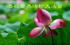 法轮功,河南大法弟子恭贺世界法轮大法日暨师尊华诞(23条)