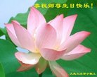 ֹ,󷨵ӹ編ִʦ𻪵(21)