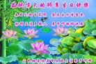 ֹ,ɽ󷨵ӹ編ִʦ𻪵(20)