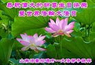 ֹ,ɽ󷨵ӹ編ִʦ𻪵(20)