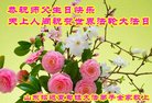 法轮功,山东大法弟子恭贺世界法轮大法日暨师尊华诞(20条)