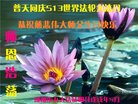 ֹ,ɶ󷨵ӹ編ִʦ𻪵(21)
