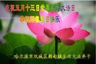 法轮功,哈尔滨大法弟子恭贺世界法轮大法日暨师尊华诞(21条)