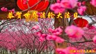 ֹ,ʡ󷨵ӹ編ִʦ𻪵(21)