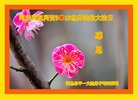 ֹ,ӱ󷨵ӹ編ִʦ𻪵(19)