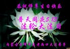 ֹ,ɹŴ󷨵ӹ編ִʦ𻪵(20)