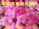 ֹ,д󷨵ӹ編ִʦ𻪵(19)