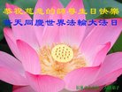 ֹ,󷨵ӹ編ִʦ𻪵(21)