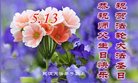 ֹ,󷨵ӹ編ִʦ𻪵(24)