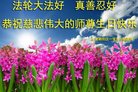 ֹ,󷨵ӹ編ִʦ𻪵(20)