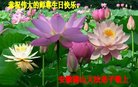 ֹ,մ󷨵ӹ編ִʦ𻪵(23)