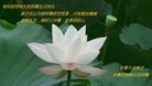 ֹ,󷨵ӹ編ִʦ𻪵(21)