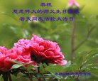 ֹ,󷨵ӹ編ִʦ𻪵(22)