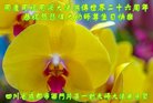 ֹ,ɶ󷨵ӹ編ִʦ𻪵(15)