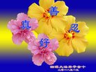 ֹ,ϴ󷨵ӹ編ִʦ𻪵(21)