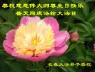ֹ,󷨵ӹ編ִʦ𻪵(21)