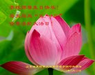 ֹ,ɽ󷨵ӹ編ִʦ𻪵(23)